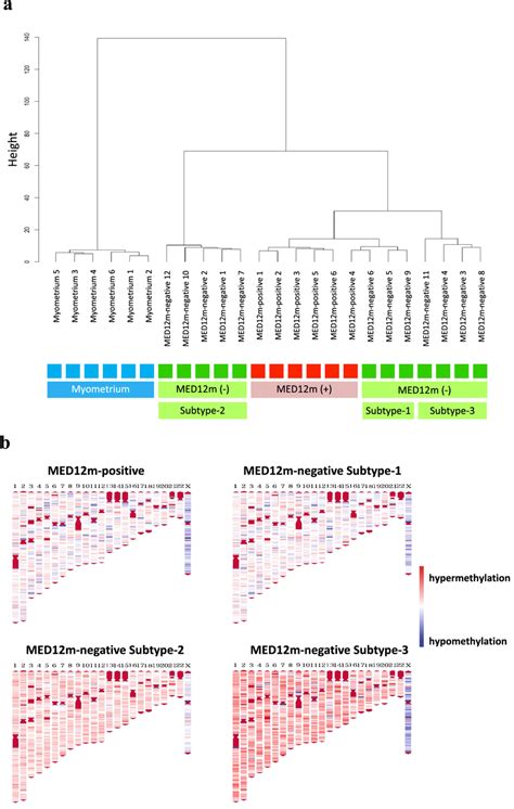 Dna Methylation Profiling Of The Med M Positive And Negative Uterine