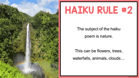 How to Host a Haiku Writing Contest in Your School Library - MrsReaderPants