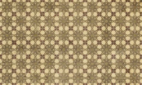 Do Blue Tits Migrate When How Why Blue Tits Migrate Inside My Nest