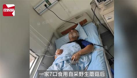 一家7口吃野菇2人死亡2人进icu，专家鉴定蘑菇疑为假褐云斑鹅膏北晚在线