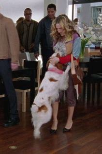 Sarah Jessica Parker Sex And The City Episode C No Ifs Ands Or Butts July Star Style