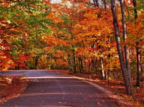 Fall Drive Through Indiana To See The Autumn Foliage