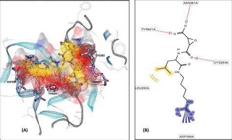 A 3D And B 2D Representation Of Structure Based Pharmacophore Model