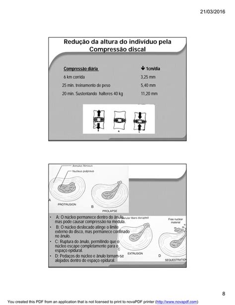 Biomecanica E Cinesiologia Da Coluna Vertebral Pdf