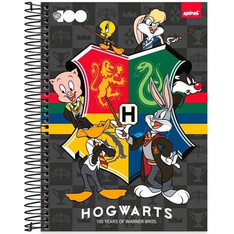 Caderno Universitário Capa Dura 20X1 320 Folhas Warner 100 Anos Spiral