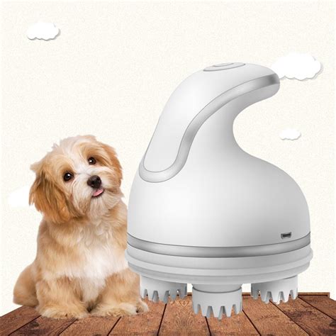 Elektrische Katze Kopf Massagegerät Automatische H... – Grandado