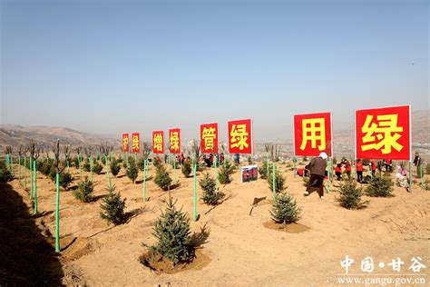 甘谷县四大班子领导参加春季义务植树活动图 天水在线