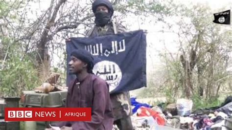 Niger 30 Combattants De Boko Haram Tués Bbc News Afrique