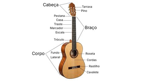 Partes De Um Violão - Partes do Violão: Guia Completo de Anatomia e Funções (2026)