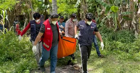 Warga Lhokseumawe Diduga Meninggal Usai Jatuh Dari Pohon Kelapa