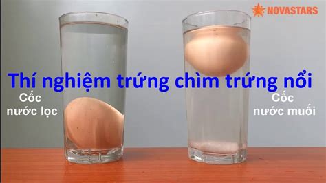 Thí Nghiệm Trứng Chìm Trứng Nổi Hoạt động Khám Phá Cho Trẻ Mầm Non