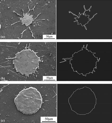 Typical splat deposited on the substrate preheated to (a) 25±2°C, (b ... 
