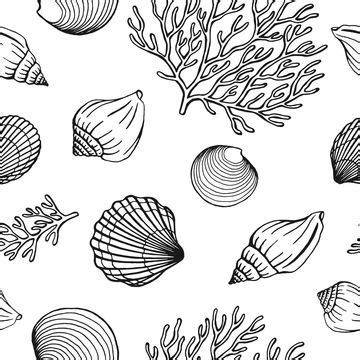 Seamless Pattern With Seashells, Seashells Drawing, Seashells Sketch ...