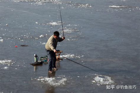 冬季钓鱼死窝的4个原因冬季钓鱼想要不死窝必须掌握的技巧 知乎