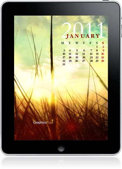 Wallpaper calendar: January 2011 - GraphicsFuel