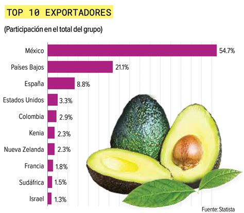 M Xico Es El Principal Exportador De Aguacate En El Mundo