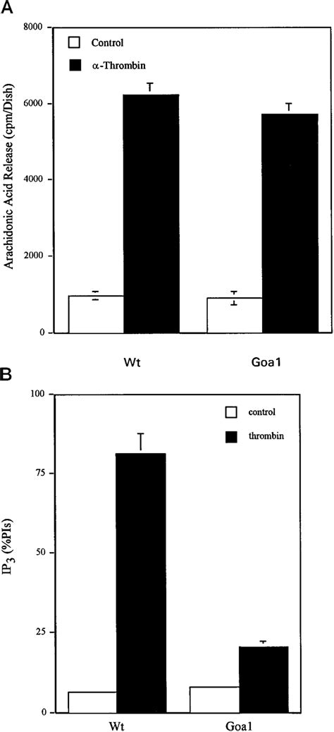 Basal And Thrombin Induced Arachidonic Acid Release And Inositol