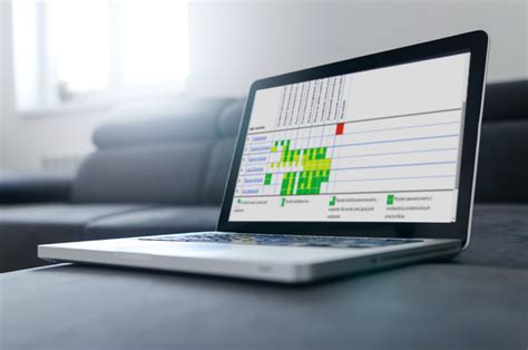 Program Skills Matrix Matryca Kompetencji