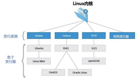 Linux学习之计算机基础入门和常见linux发行版介绍 马哥教育官网