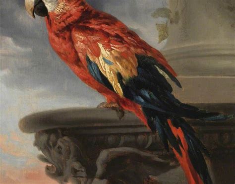 Ars Longa Follower Of Peter Paul Rubens Parrot