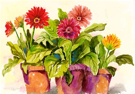 Gerbera Daisies Flower Watercolor Painting