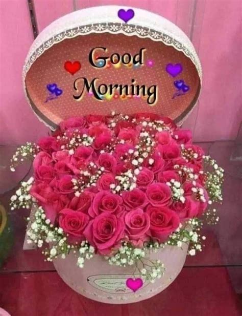 A Bouquet Of Pink Roses In A Round Box With The Words Good Morning On It