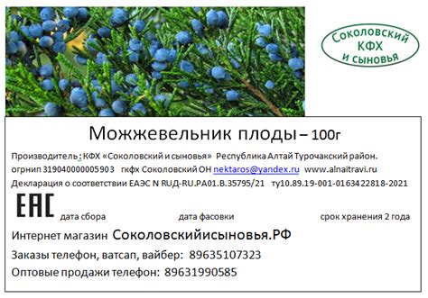 Можжевельник (плоды) 50г - Алтайские травы