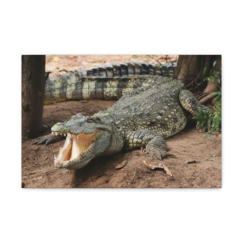 Majestic Salt Water Alligator Art Majestic Salt Water Alligator Print