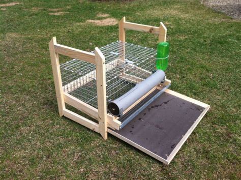 Quail Cage For 16 Quails With Feeder And Drinker Quail Box EBay