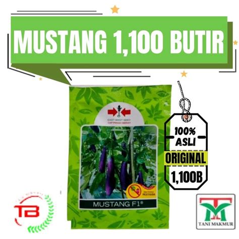 Benih Terong Mustang 1 100 Butir Cap Panah Merah Benih Terong Ungu