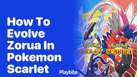 How To Evolve Zorua In Pokemon Scarlet Playbite