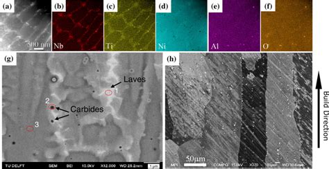 A Haadf Stem Micrograph And Bf Stem Eds Maps Highlighting Segregated