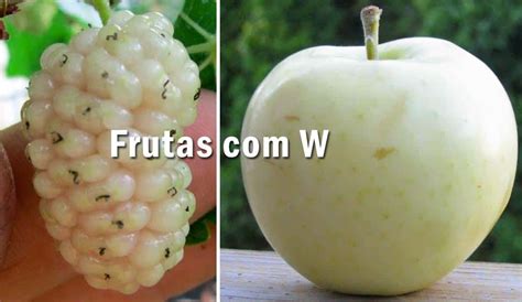 Nome De Fruta Com A Letra R - 10