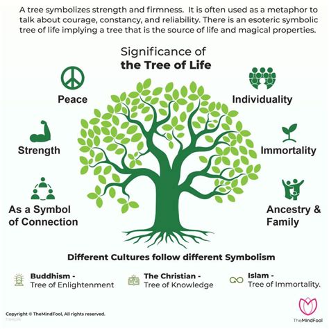 Spiritual Meaning Of A Tree Churchgists Com