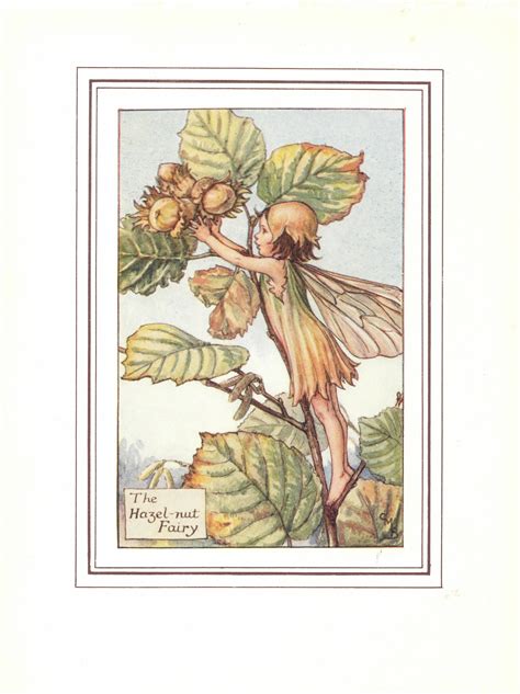 Flower Fairies The Hazelnut Fairy Vintage Print C1930 By Cicely Mary