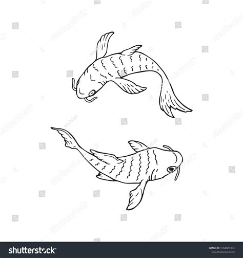 swim drawing 2