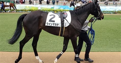 2024 2 22（木）競馬予想結果｜jra・競馬予想