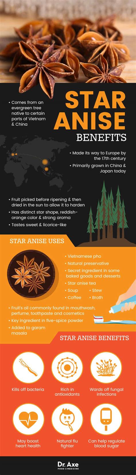 Is Star Anise Good For You 6 Benefits Of This Sweet Spice Best Pure