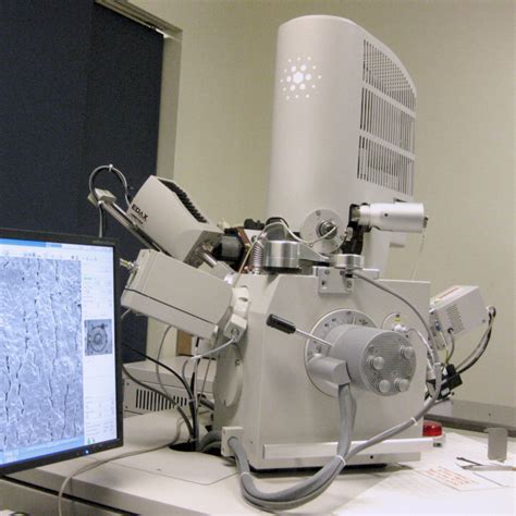 FACILITIES Facility For Electron Microscopy Research McGill University