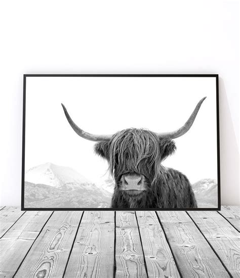 Black And White Highland Cow Print Photography Print Cow Wall Art Black