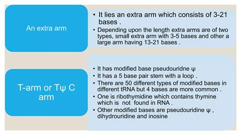 Structure and function of rna | PPT