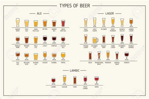 Classification Selon Les Styles De Bi Res Total Bi Res