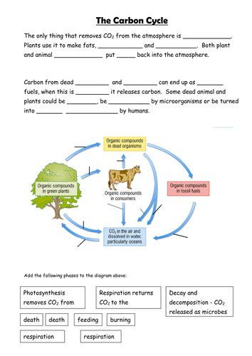 Ks3 The Carbon Cycle Teaching Resources