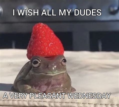 I Really Wish You All A Nice Day Rwholesomememes It Is Wednesday