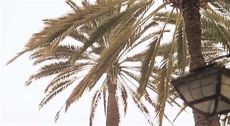 Oasis Porn Videos Xhamster