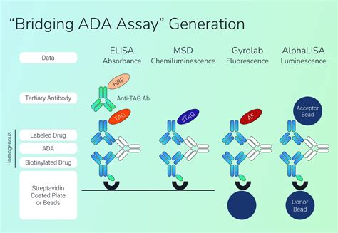 Understanding The Issues With Ada Assays Sword Bio