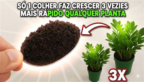 Dar O Cool Faz Crescer - Só 1 Colher Faz Crescer 3 Vezes Mais Rápido Qualquer Planta