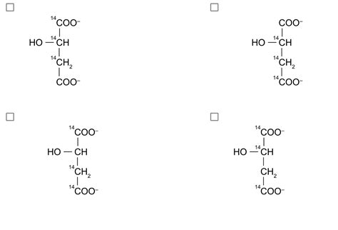 Solved A mouse fed phytanic acid uniformly labeled with | Chegg.com