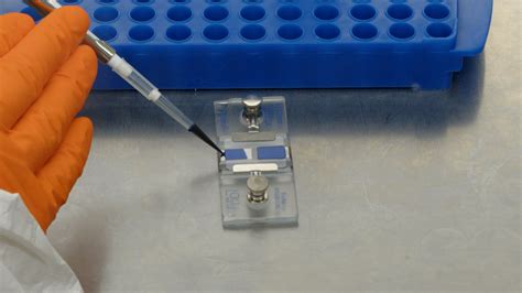 HEK293 Suspension Cell Cultivation and Viral Vector Harvesting for ... 