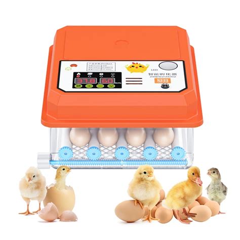 Egg Incubator Brooder Chicken Fully Automatic Incubator Farm Bird Quail